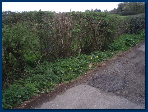 600x449 pixels (166K)